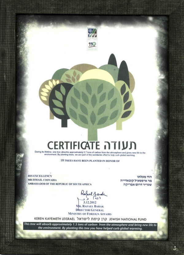 certificate to ismail coovadia